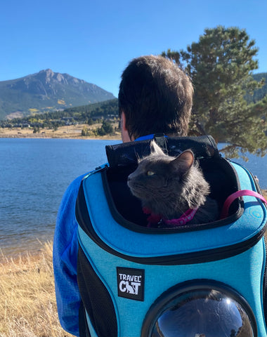 Man looks at lake with cat in blue backpack on his back