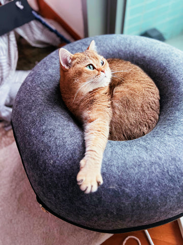 The Donut Cat Bed & Cave