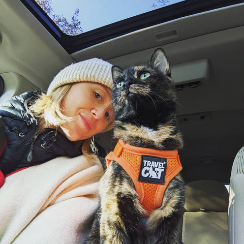 long road trip with cat reddit