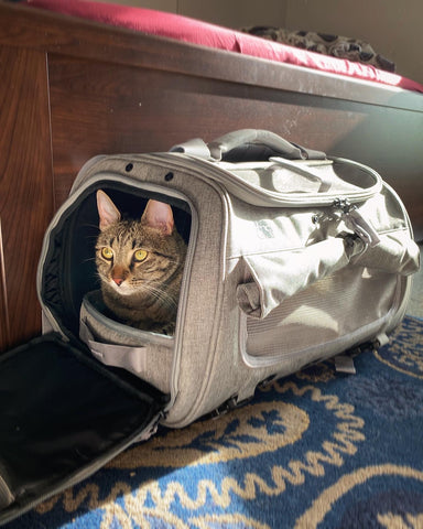 Summer Breathable Fresh Plaid Pet Out Portable Bag Carry Cat Bag