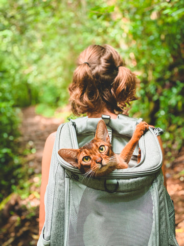 The Navigator Convertible Cat Backpack Carrier