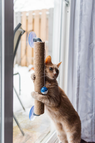 "The Window Wall Post" Travel Cat Scratcher