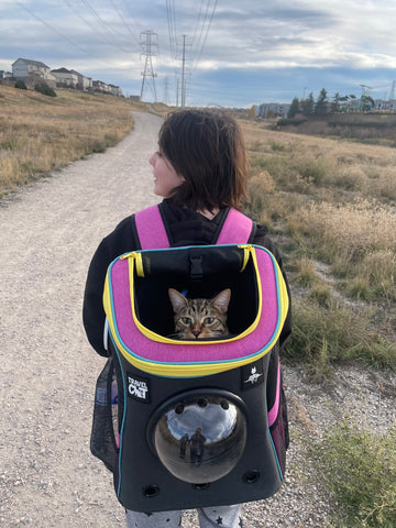 The Stray X Travel Cat Collection