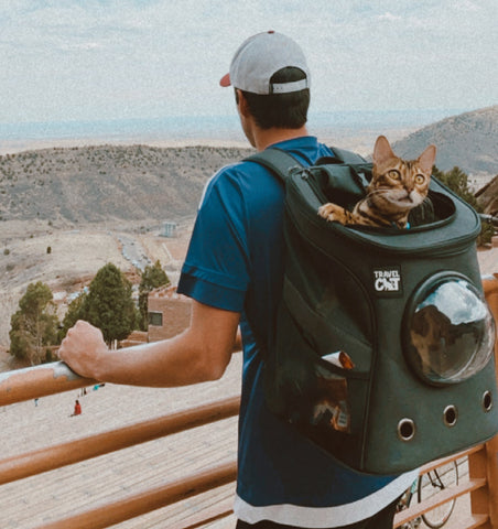 The Fat Cat Backpack Carrier