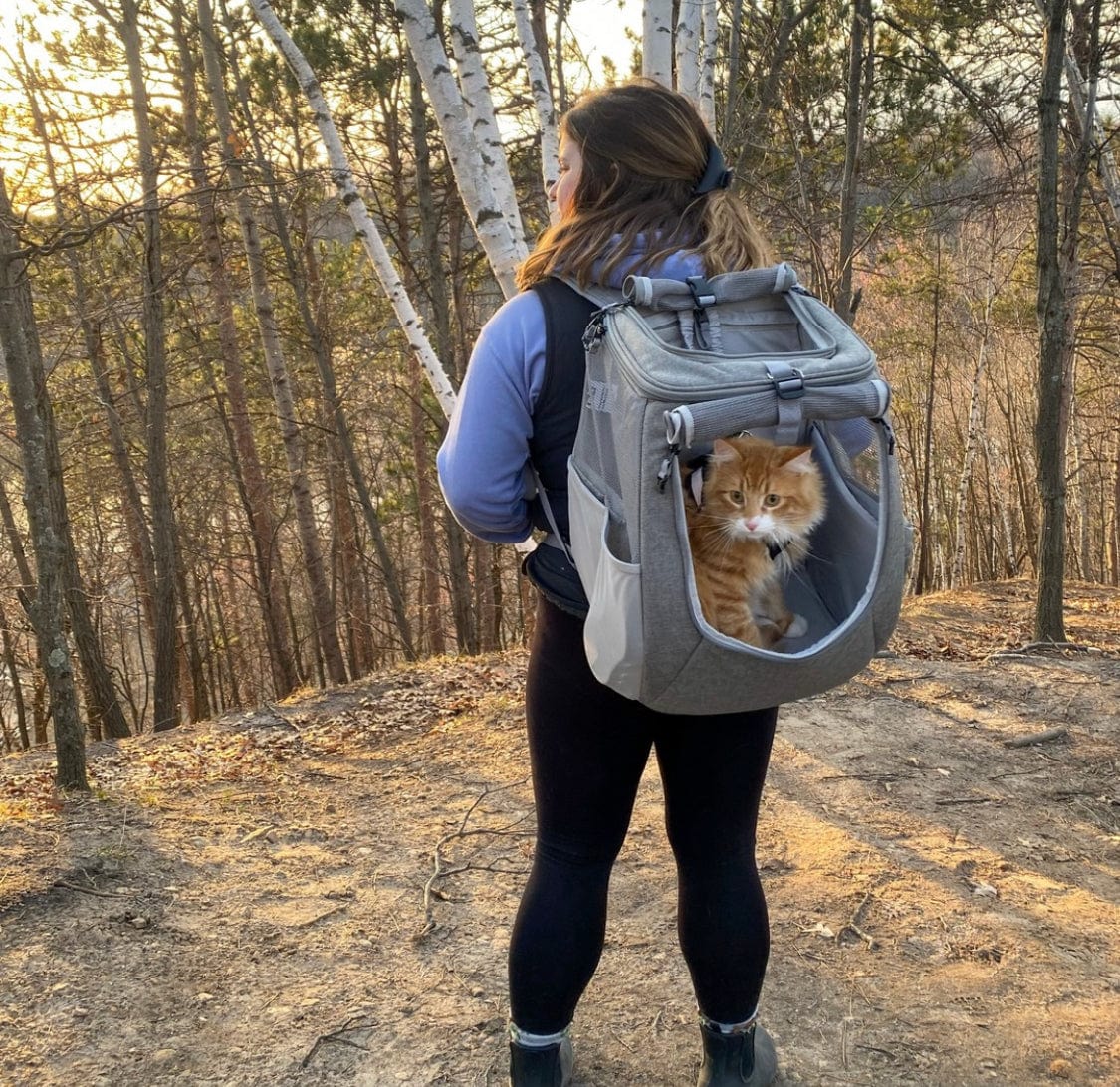 The Fat Cat Cat Backpack - For Larger Cats - Bubble Cat Carrier
