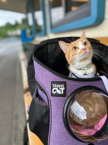 Mini Astronaut Bubble Cat Backpack 