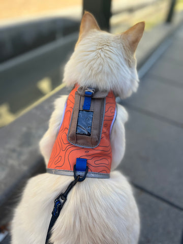 Pathfinder Cat Harness