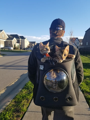 The Fat Cat Backpack Carrier 