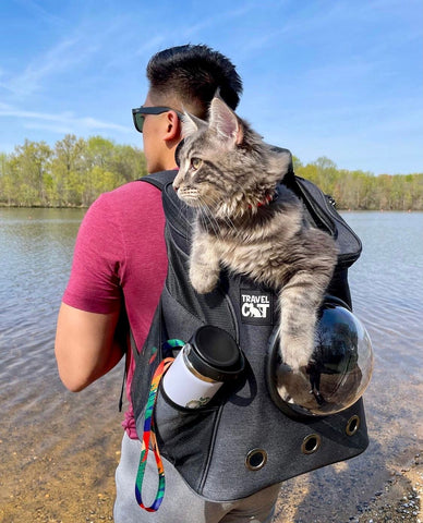 The Fat Cat Backpack Carrier