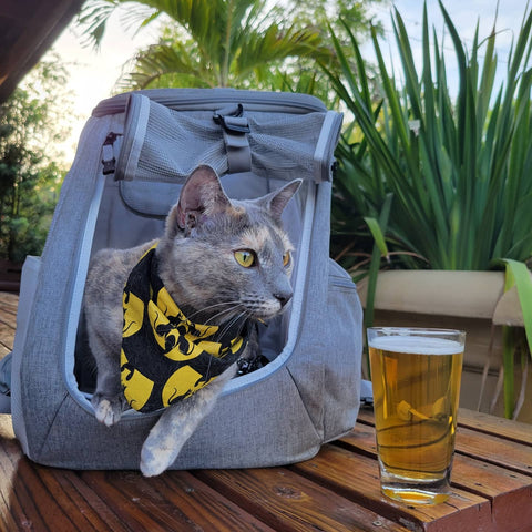 The Navigator Convertible Cat Backpack