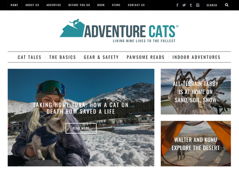 Adventure Cats Website