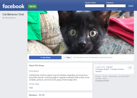 Cat Behavior Chat (Facebook Group)