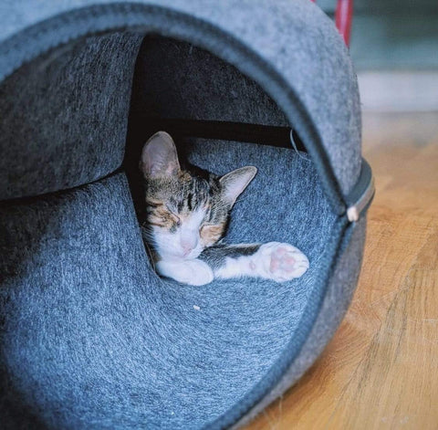 The Donut Cat Bed & Cave