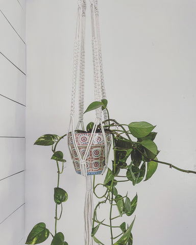 Tree Hugger Hanging Plant Holder