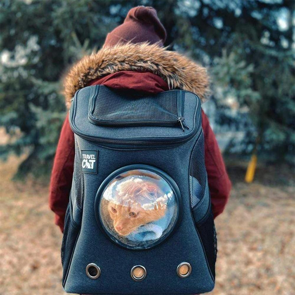 The Navigator Earth Convertible Cat Backpack - For Adventurous Cats