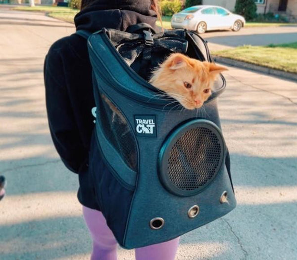 best cat back pack