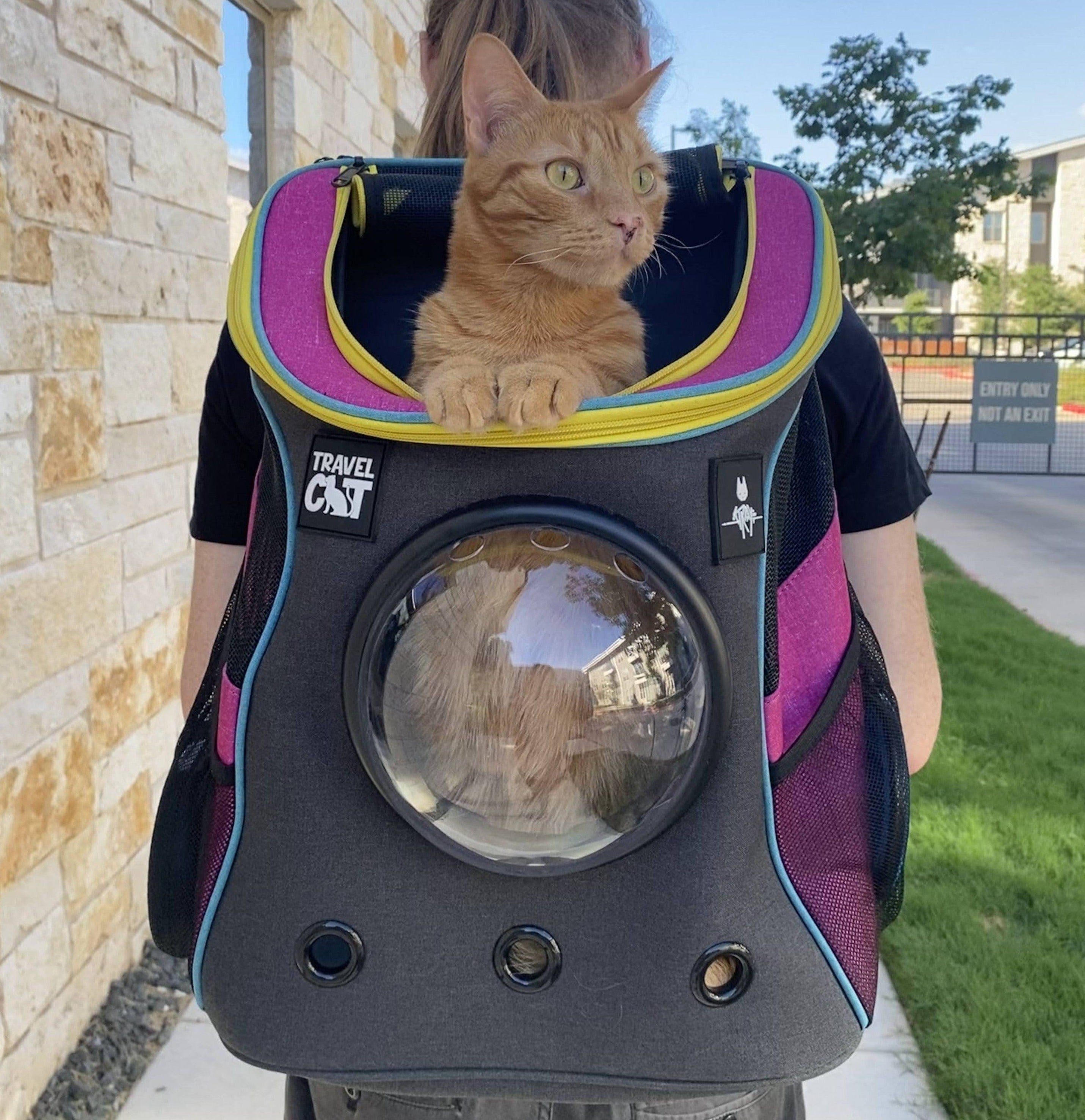 travel cat backpack reviews