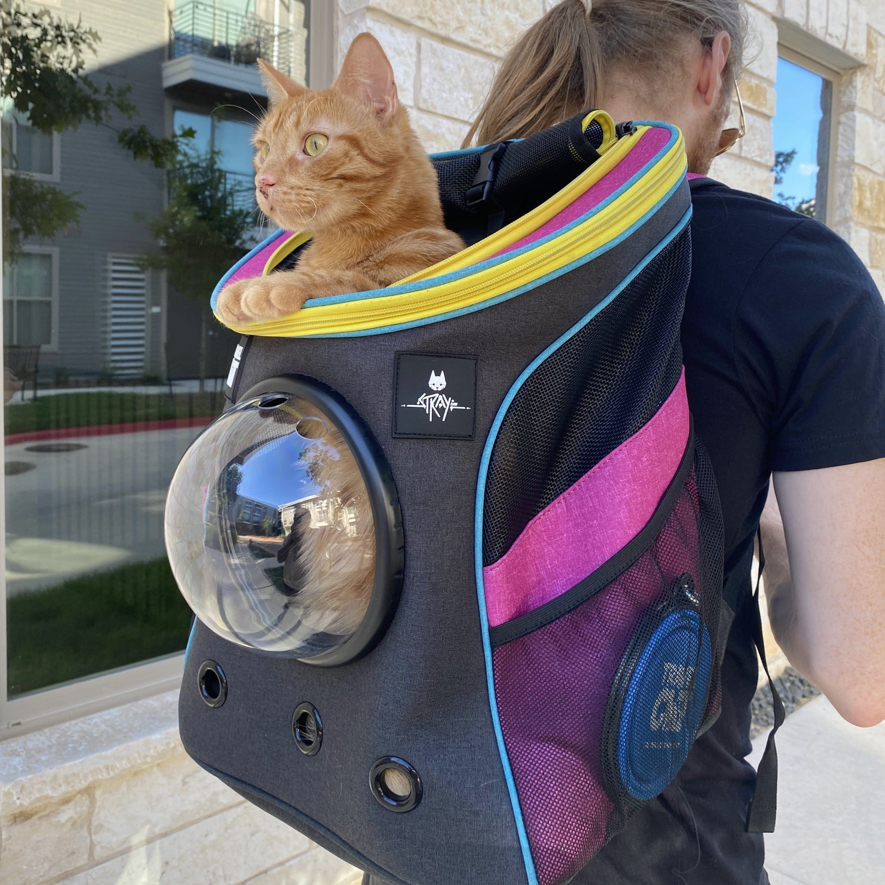 Stray x Travel Cat Backpack - Limited-Edition – Travel Cat | Your Cat ...