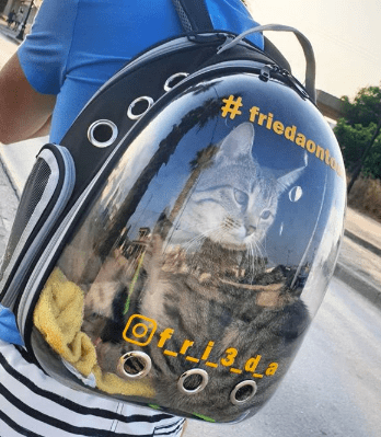 cat bubble backpack