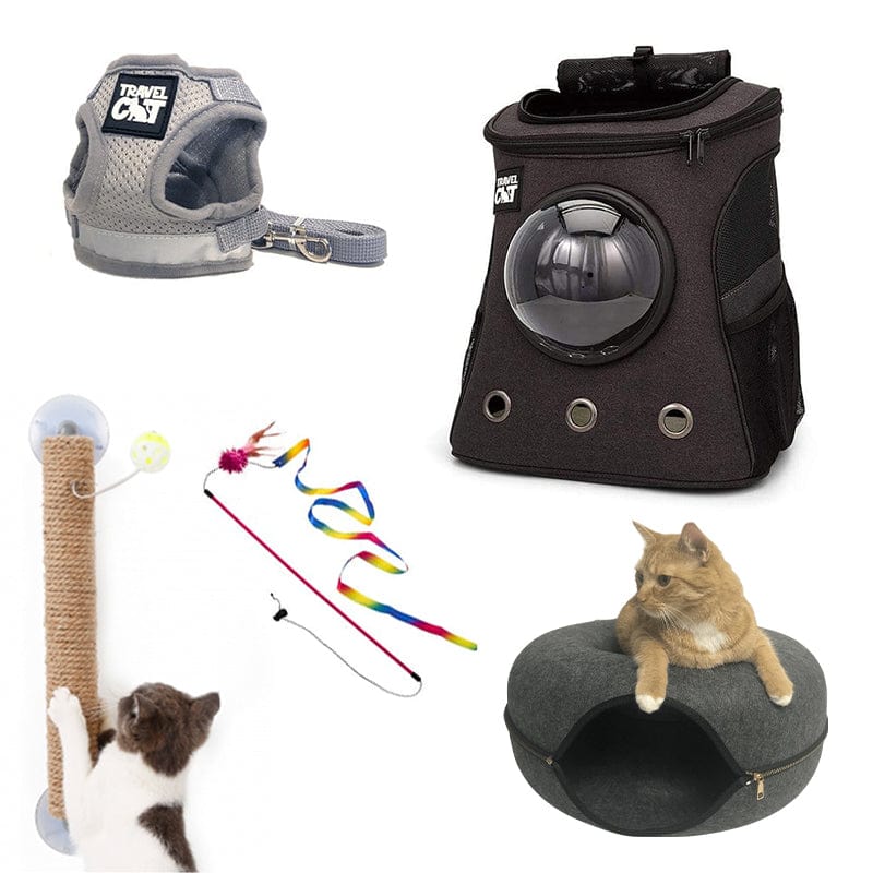 Image of "The Catify Bundle" for Cat Enrichment Indoors & Outdoors