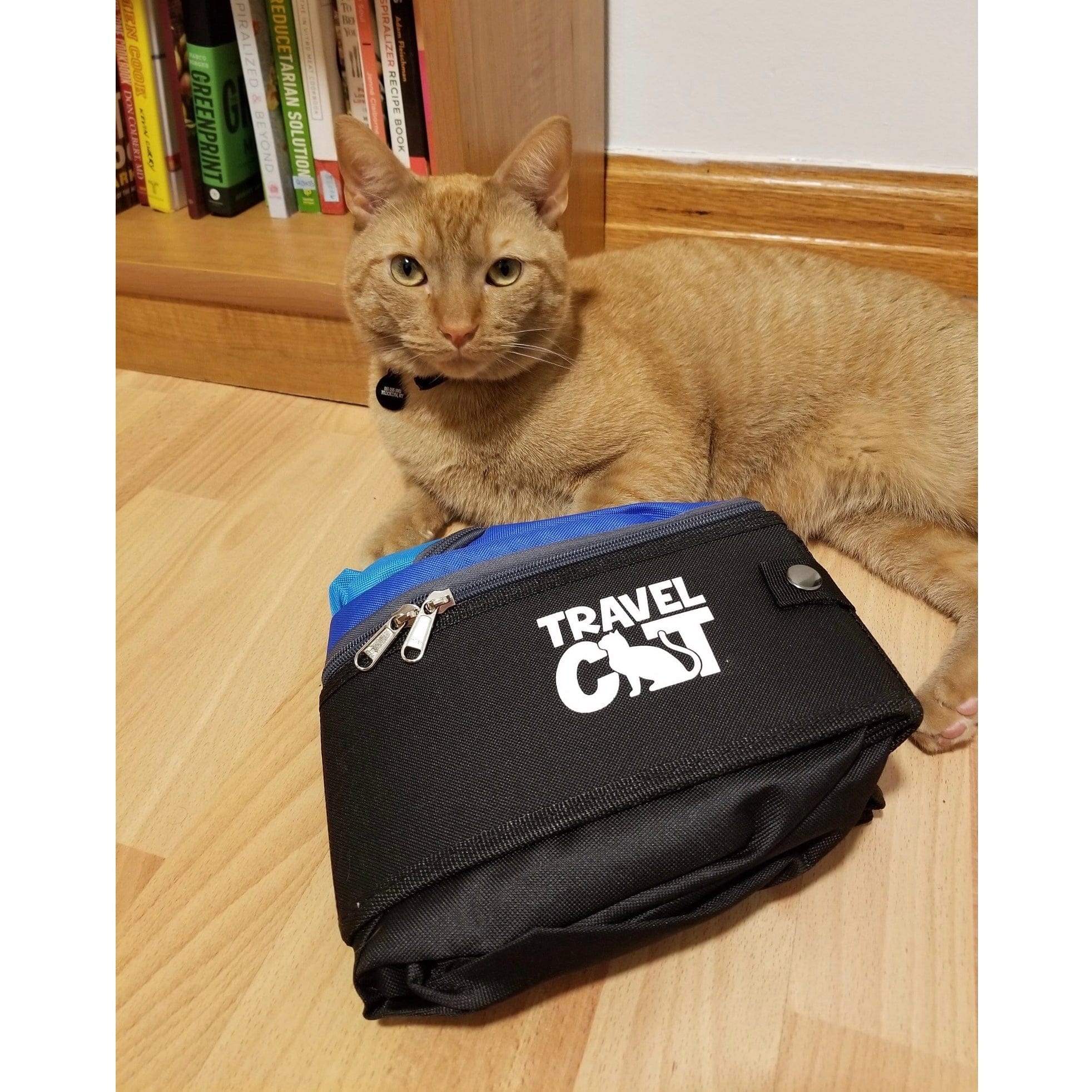 the porta pawty travel litter box