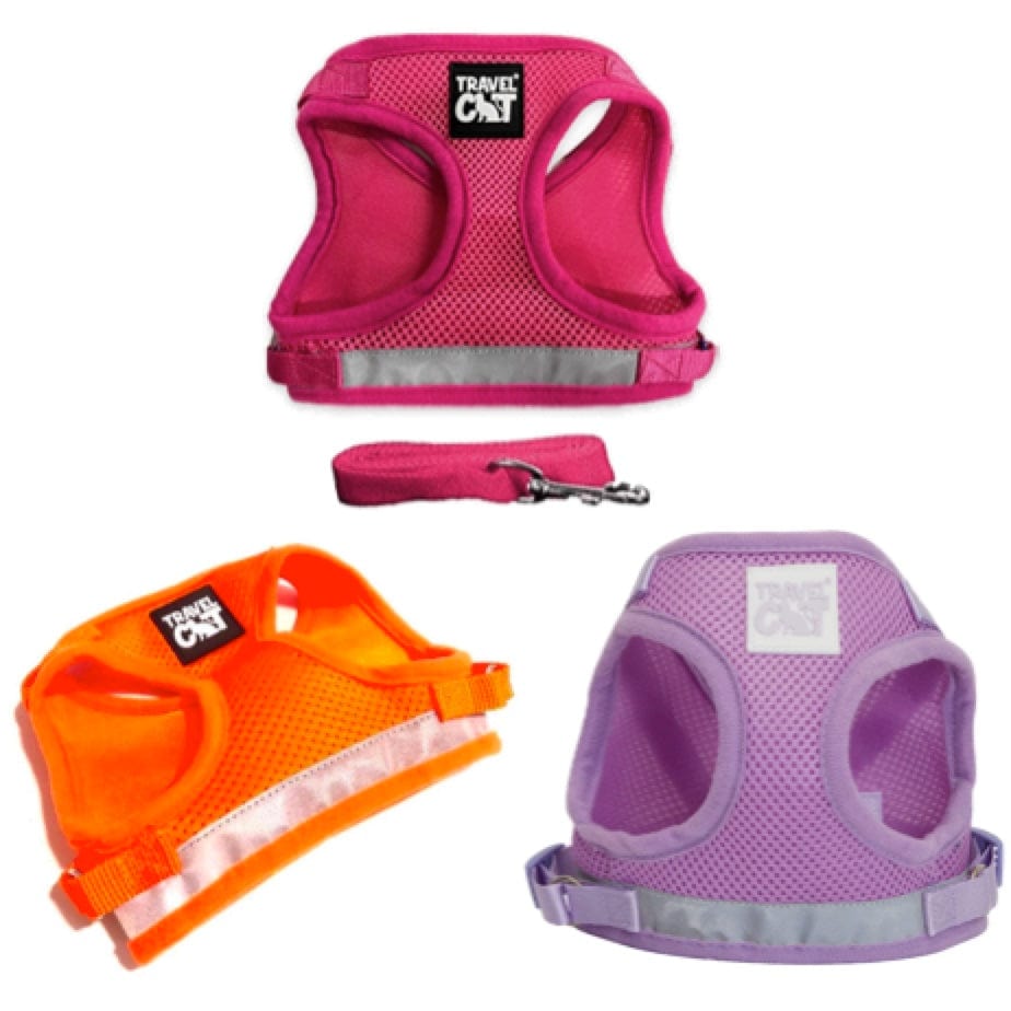 Image of "The Spring Fling" Bright Cat Harness Bundle