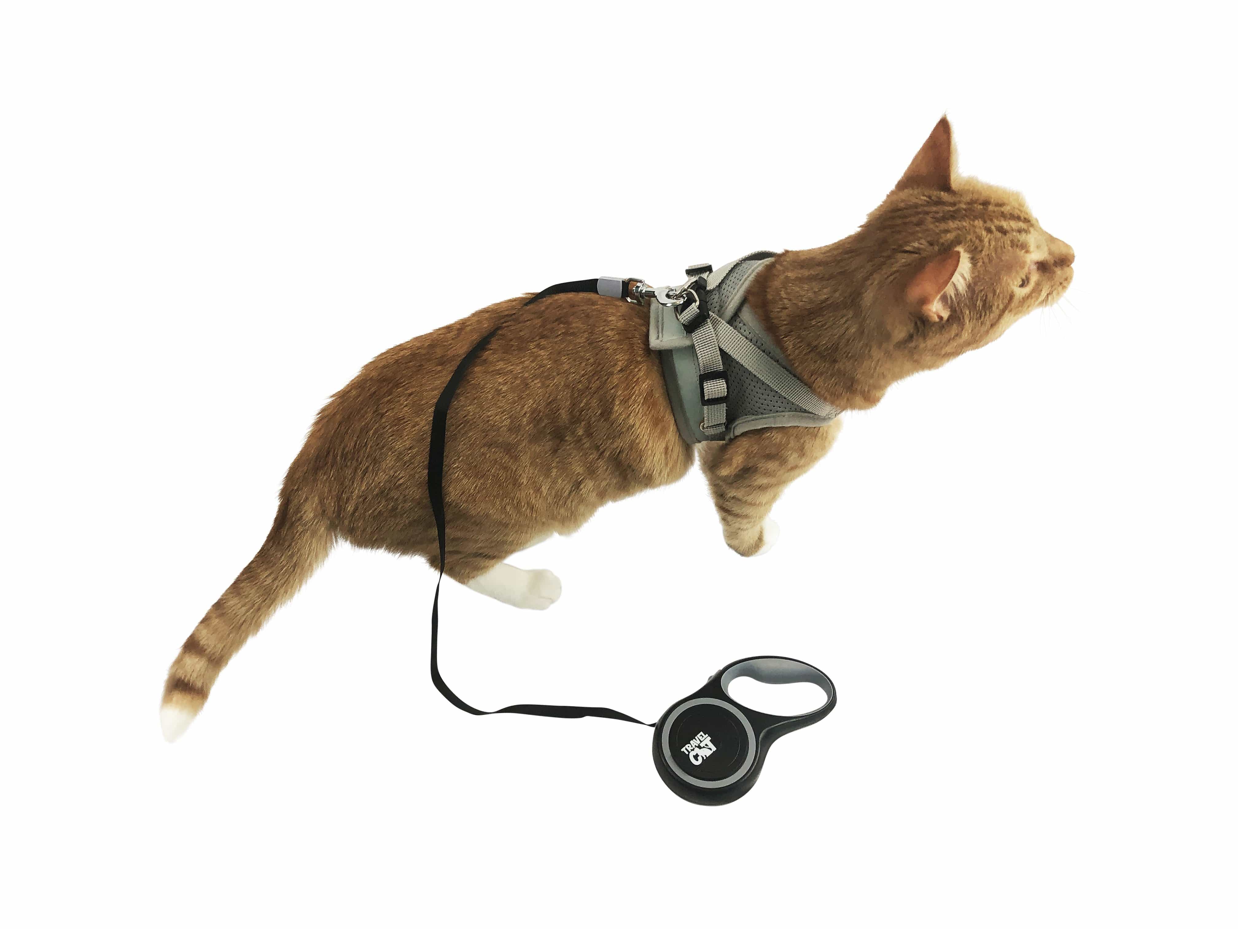 "The Captain" Retractable Leash for Cats Your Cat Backpack by Travel Cat