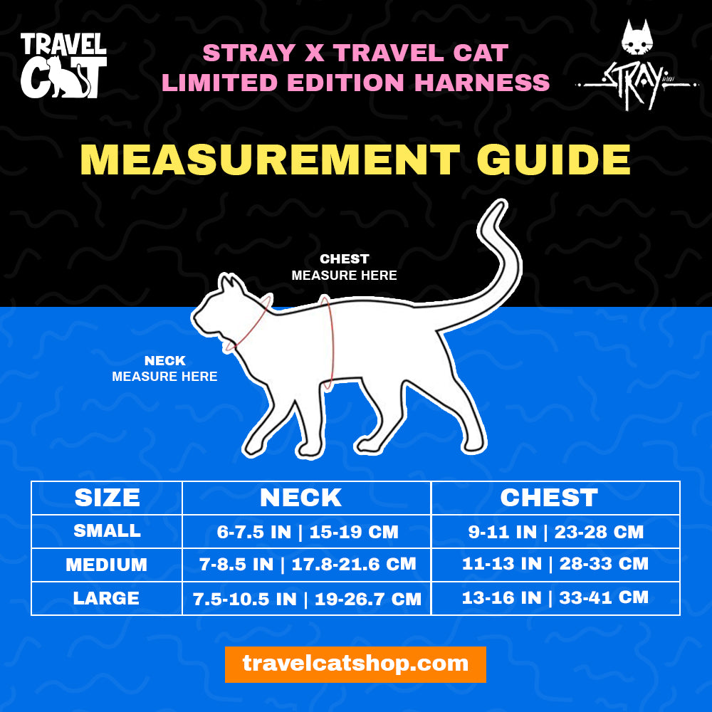 cat harness and travel