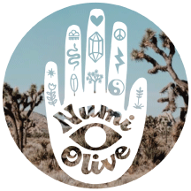 Numi Olive