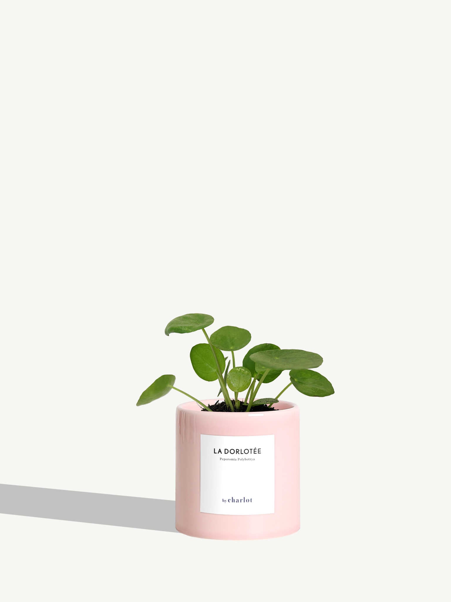 Céramique - Rose sorbet / Céramique / Éphémère