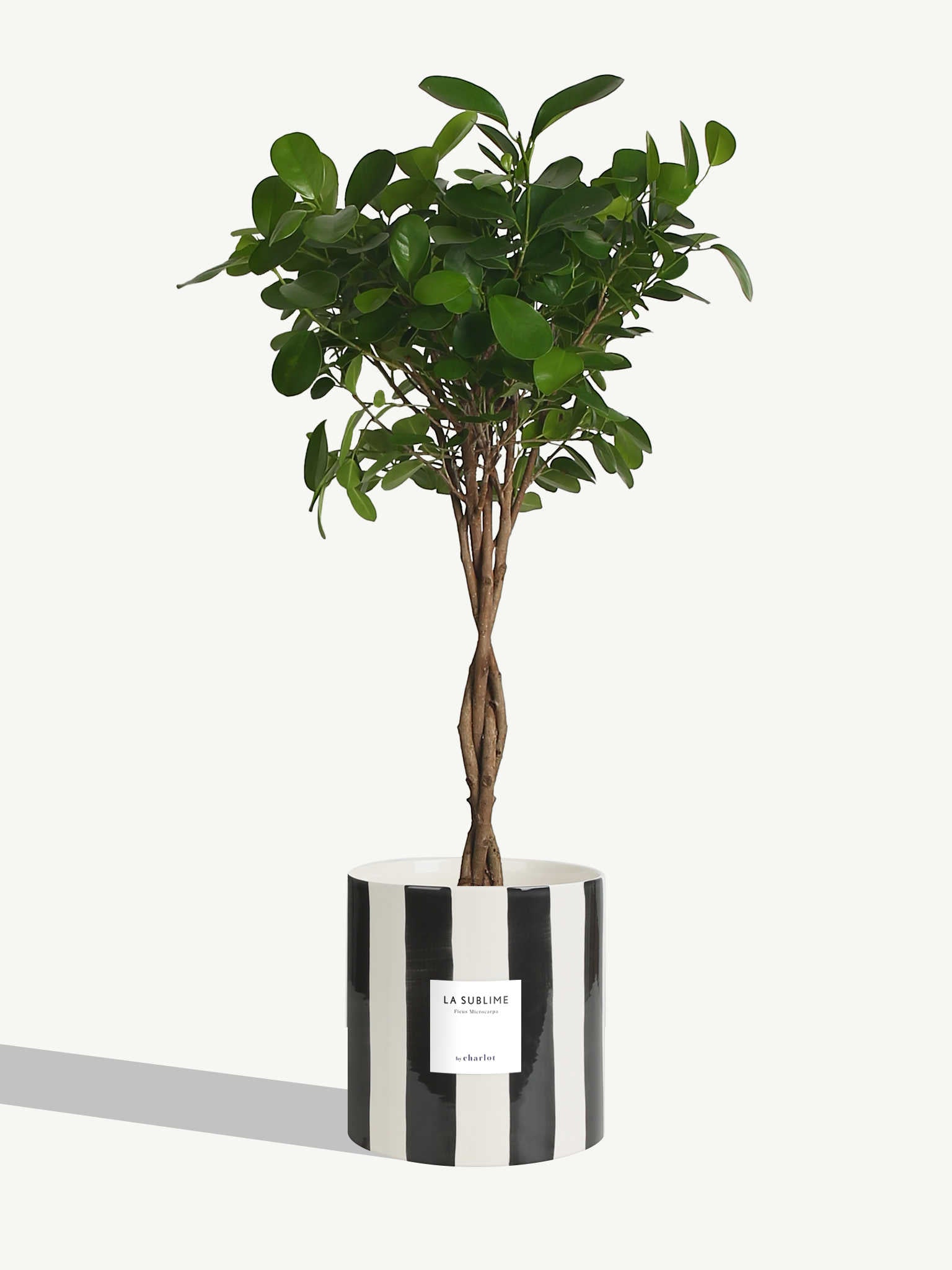 Céramique rayée - Noir réglisse / Céramique / Modulaire