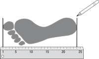 Mesurer son pied pour bien choisir sa pointure