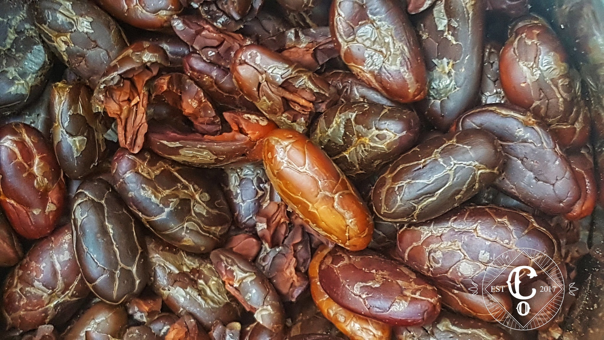 Roasted deshelled cacao beans