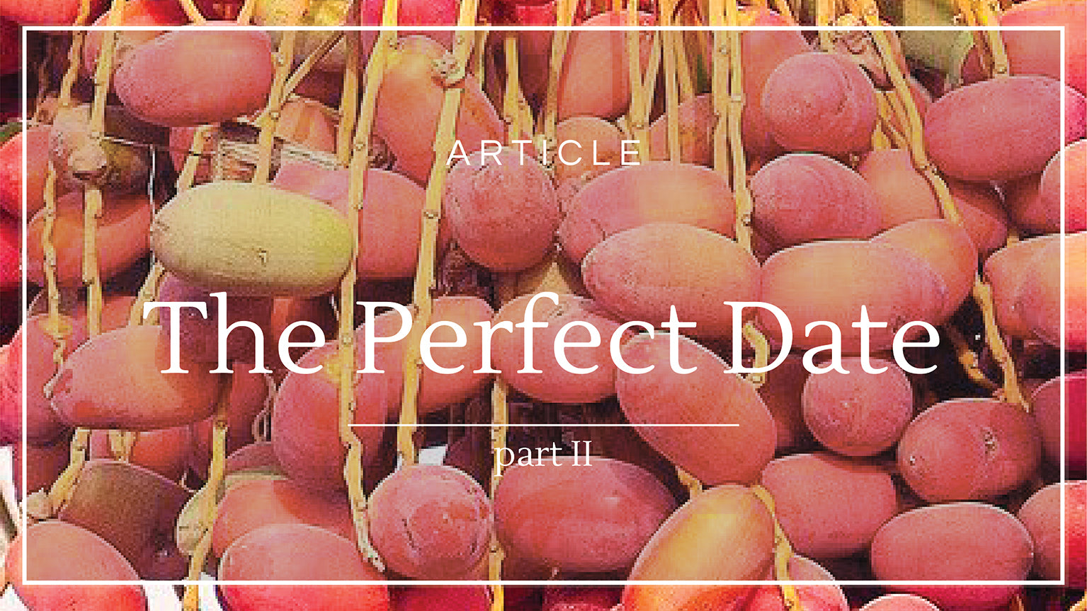 Co Chocolat Blog: The Perfect Date (Part 2)