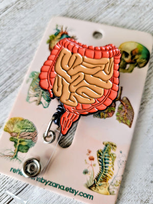 Medical Human Organs Brain Heart Lungs Uterus Nurse Badge Reels Felt  Retractable Hospital Accessories ID Badge Holder