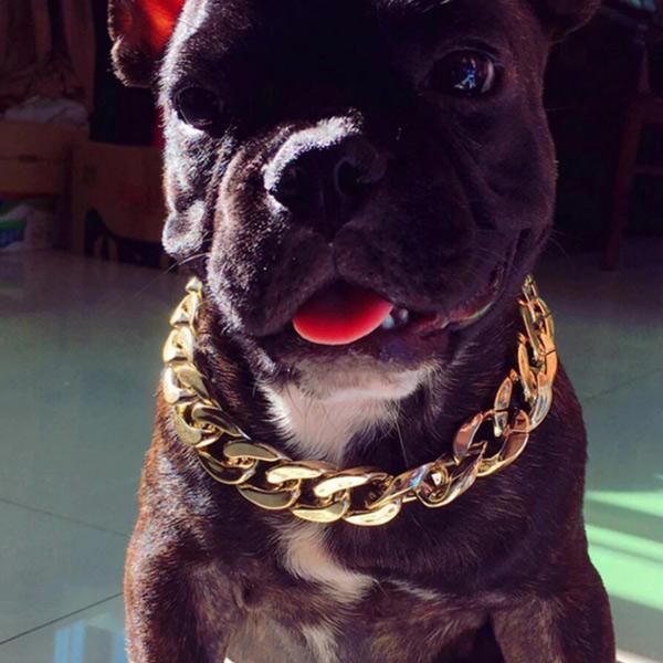 thick gold chain dog collar