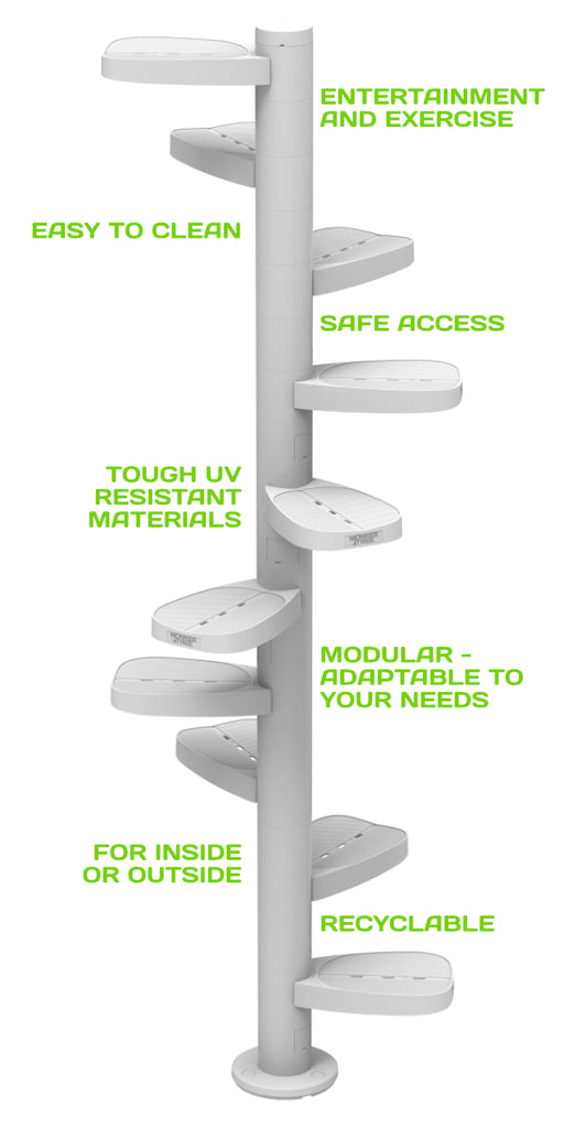 The Scalable Cat Tree Ladder NZ 