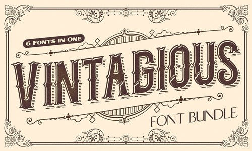 Download 6 Vintage Typefaces Including Web Fonts From Alterdeco Only 25 Mydesigndeals
