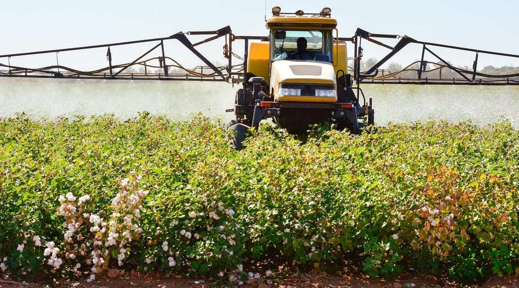 Diversifying Africa's cotton production can provide a boost