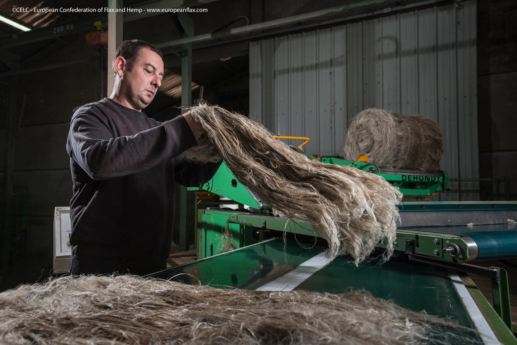 Scutching linen fibers in France