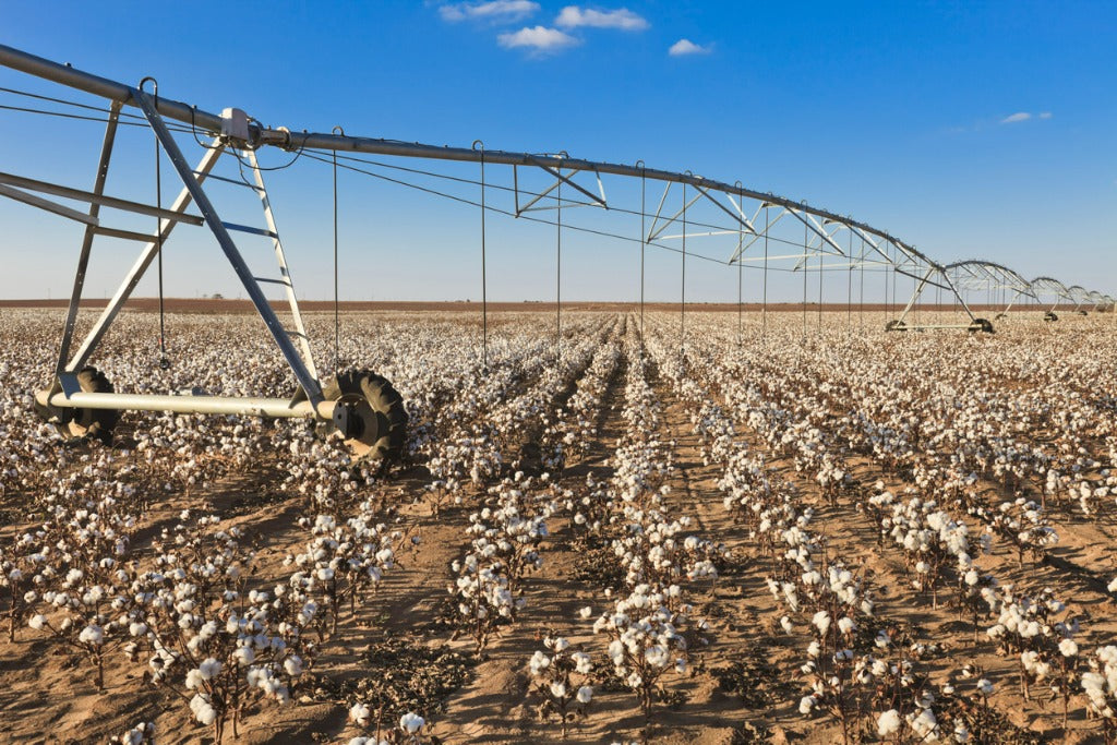 Pivot circle irrigation equipment in cotton field