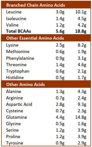 Protein Powder NZ, Whey Protein Powder NZ, Kiwi Nutrition Chocolate Whey Protein Amino Acid Profile