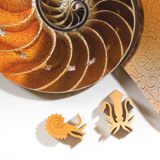 Create a Nautilus Shell When You Complete This Wooden Jigsaw Puzzle My