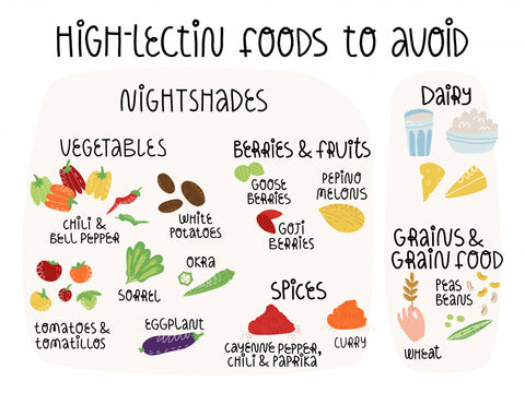 Foods High In Lectin