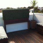 boxwood-hedge-outdoor