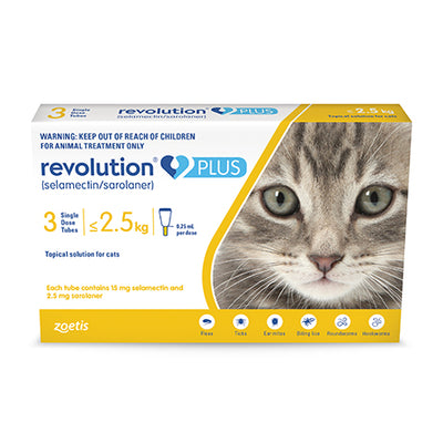 Revolution Plus For Small Cats - 3 Pack - Online Vet Store