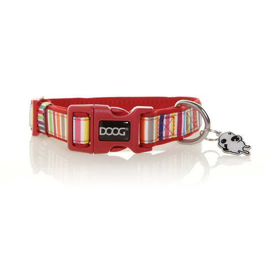 FuzzYard Dog Collar (Rebel)