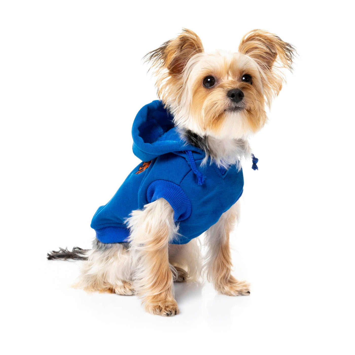 ralph lauren dog apparel