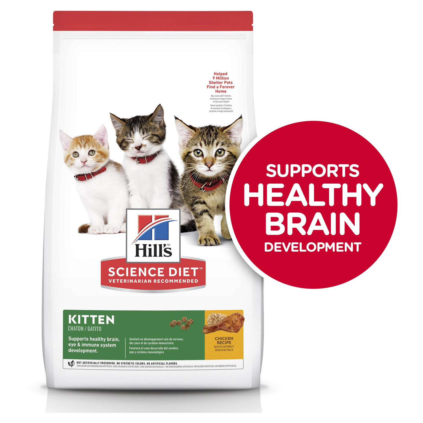 kitten dry food 10kg