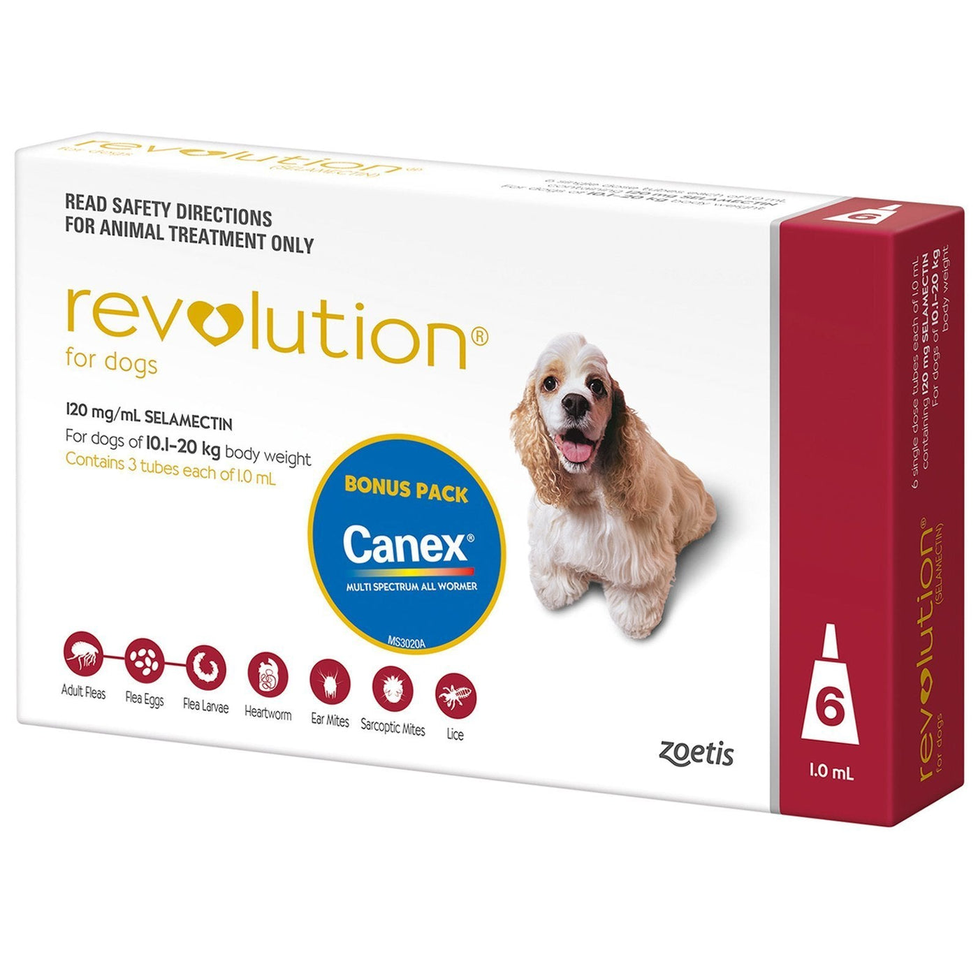 does revolution kill tapeworms in dogs